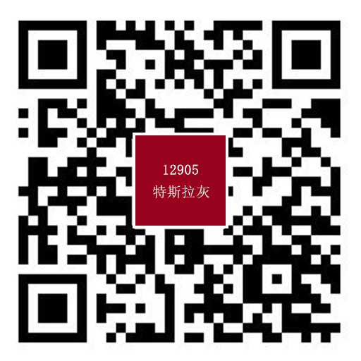 特斯拉灰12905.jpg