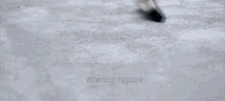 WeChat 圖片_20191231143607.gif
