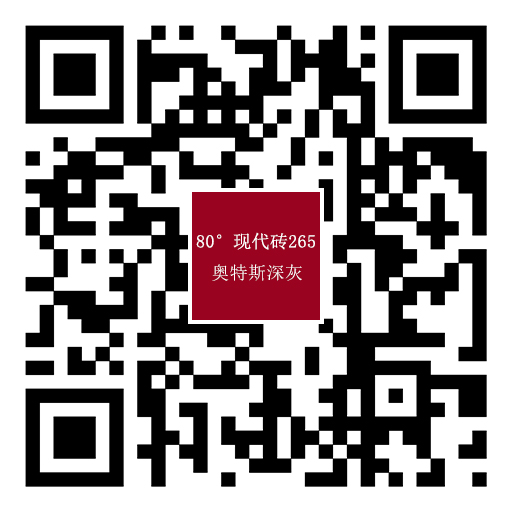 265奧特斯深灰.jpg
