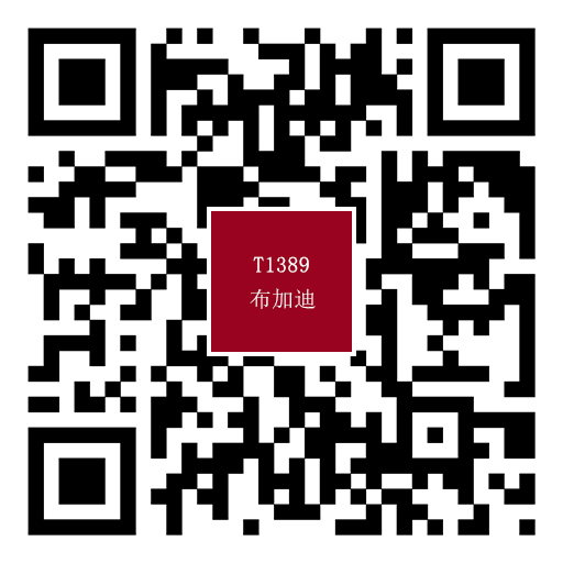 T1389布加迪.jpg