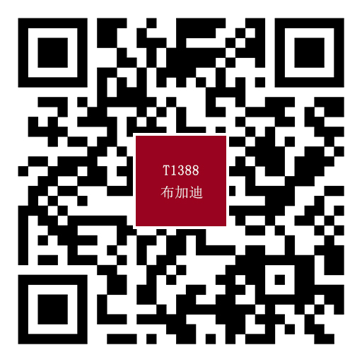 T1388布加迪720.jpg