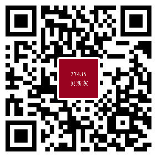 3743N貝斯灰.jpg