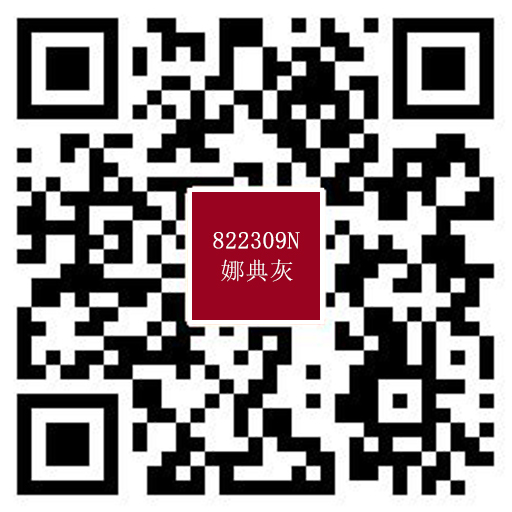A822309N娜典灰-720.jpg