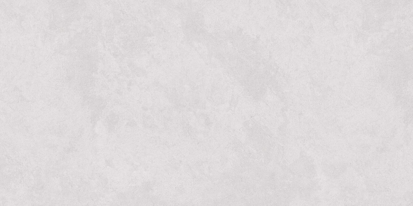 81.jpg